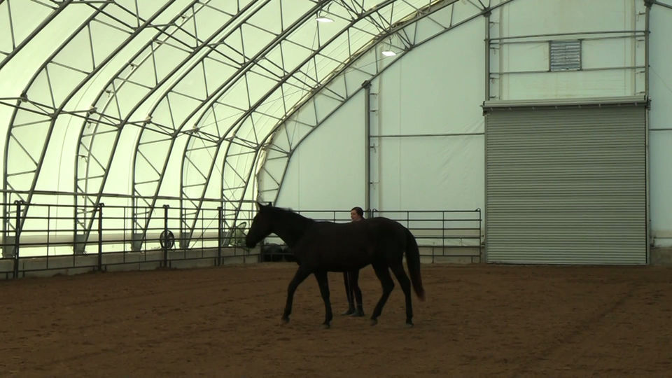 Correcting Drift on the Circle